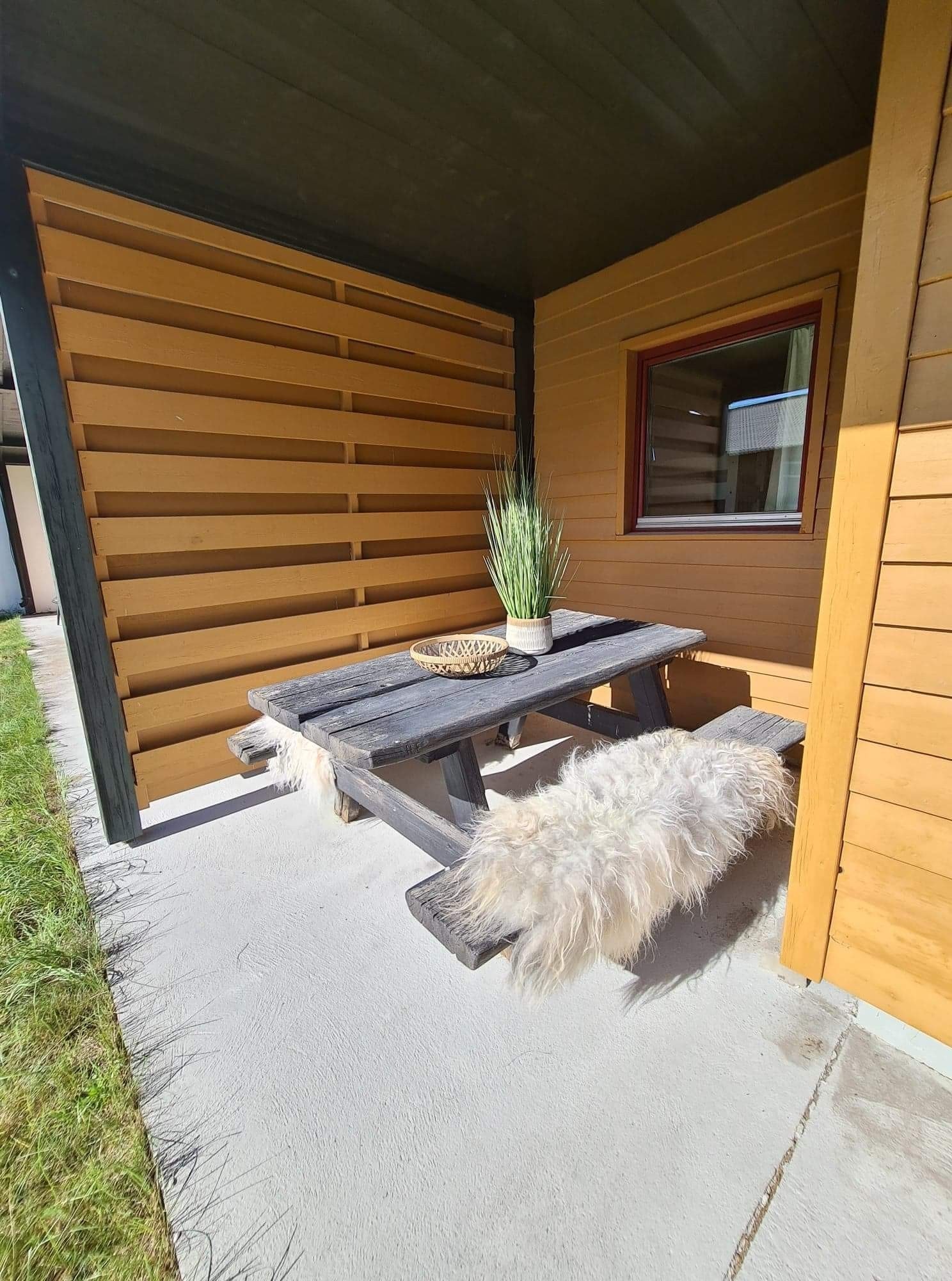 Lun og solrik overbygget terrasse. Galleribilde