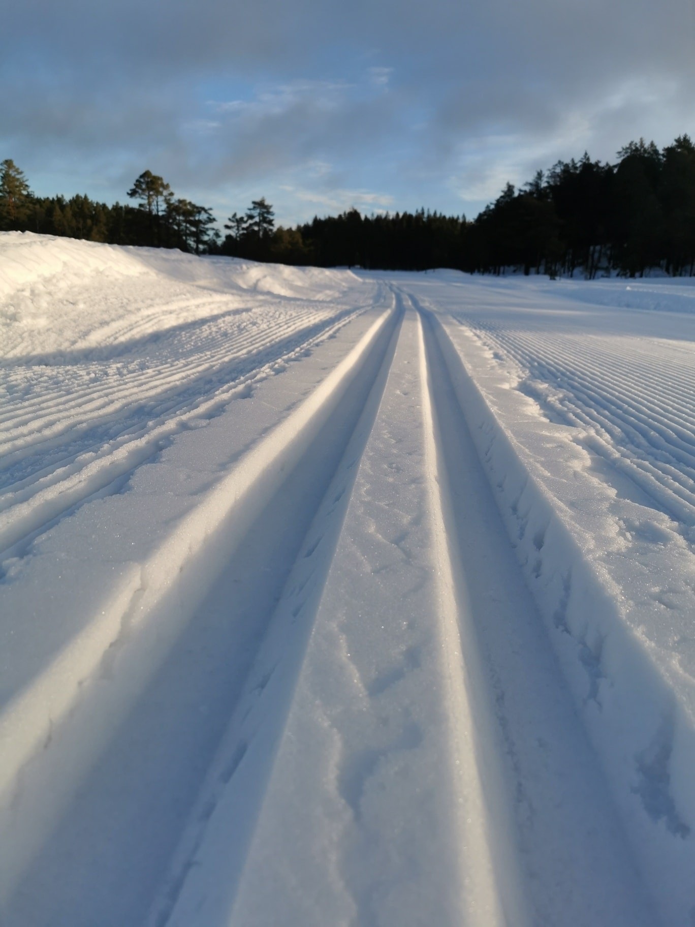 Stort skiløypenett med lysløype Galleribilde
