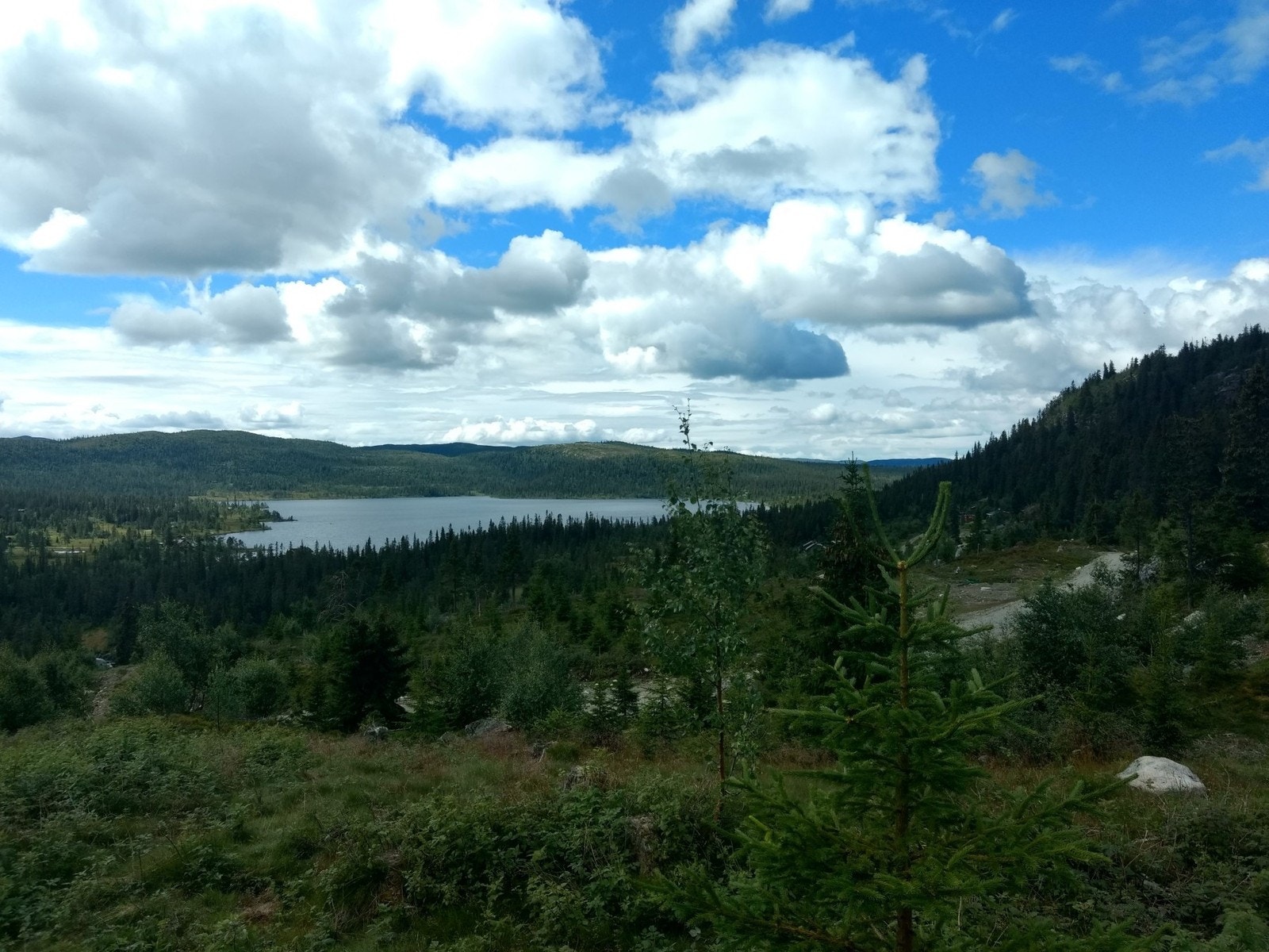Hellsenningsberget, utsikt fra tomtene Galleribilde