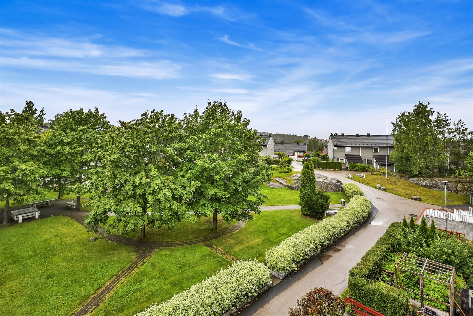 Rugdeberget 6 Galleribilde