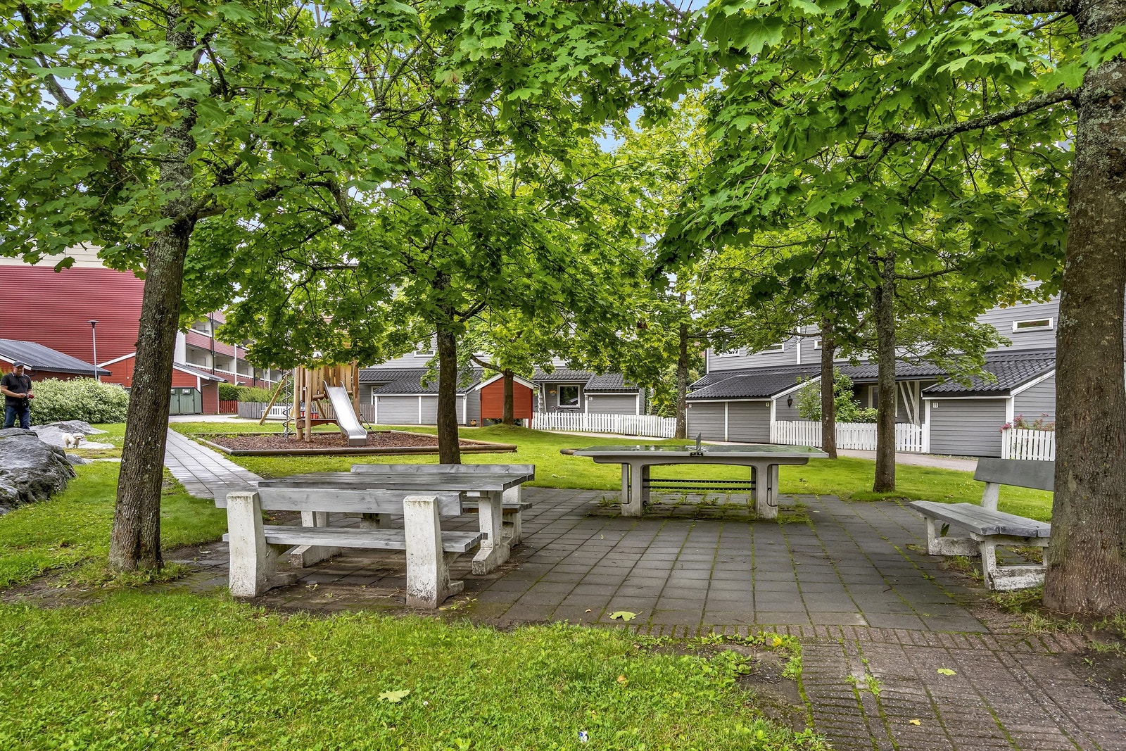 Rugdeberget 6 Galleribilde