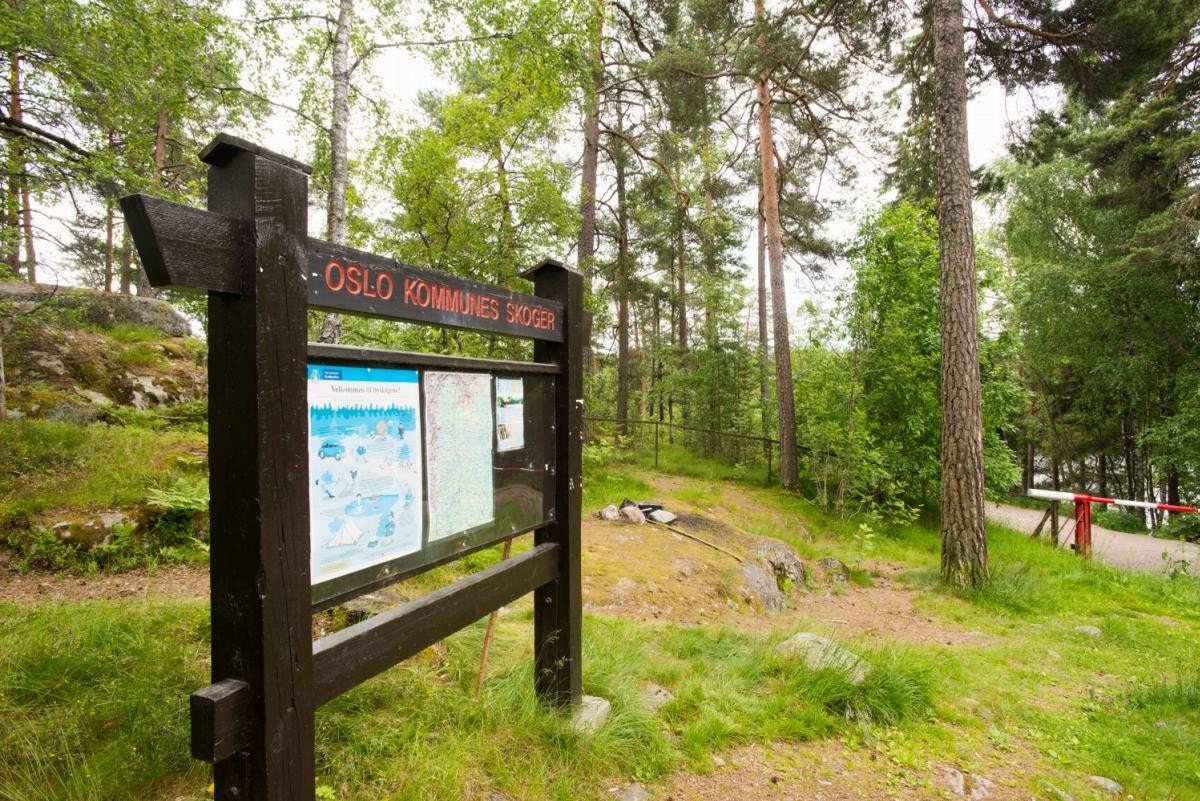 Østmarka. Galleribilde