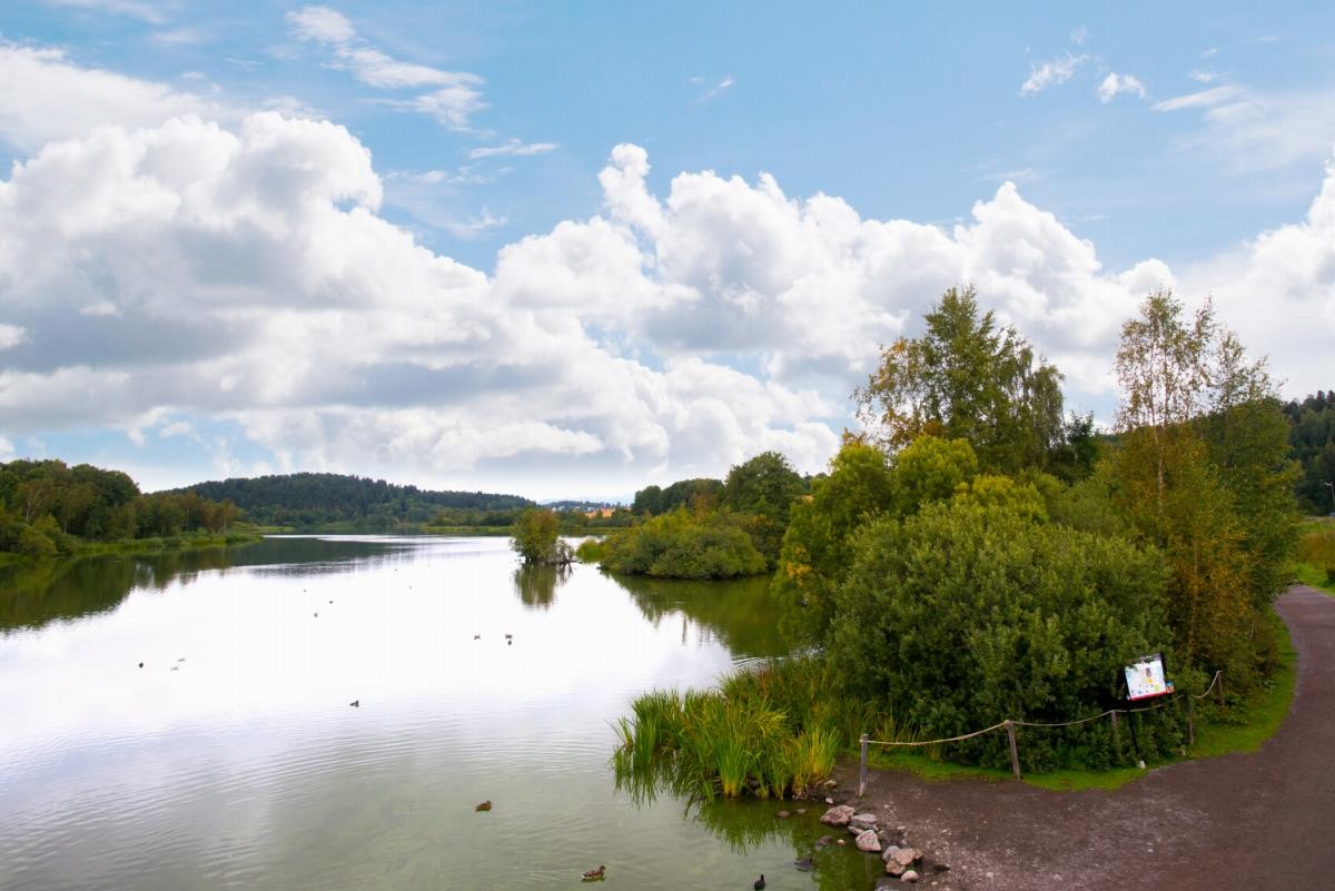 Østensjøvannet. Galleribilde