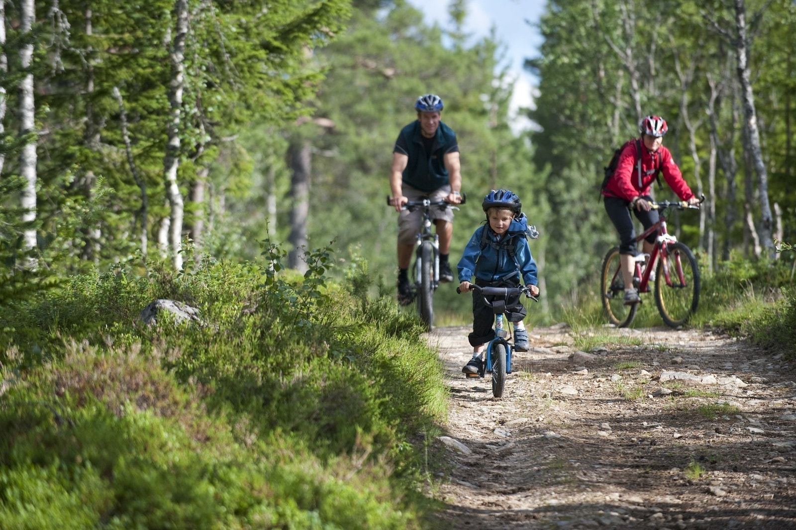 Skogsbilveier innbyr til sykling og aktivitet. Galleribilde