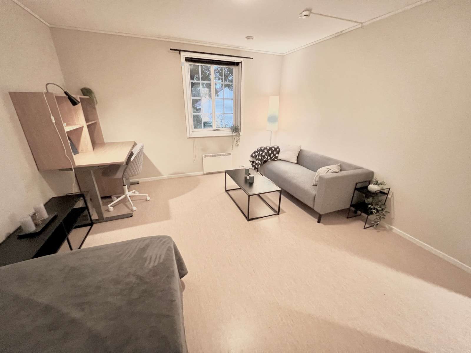 Romslig hybel med plass til sofa,skrivebord,seng,skap og tv-møbel Galleribilde