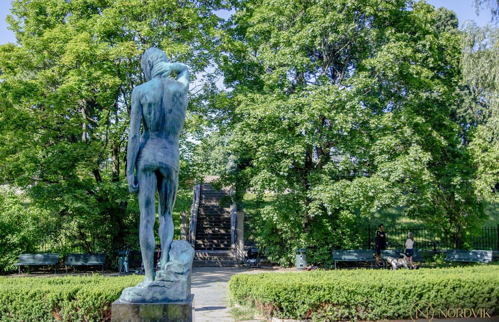 Nærområdet Galleribilde