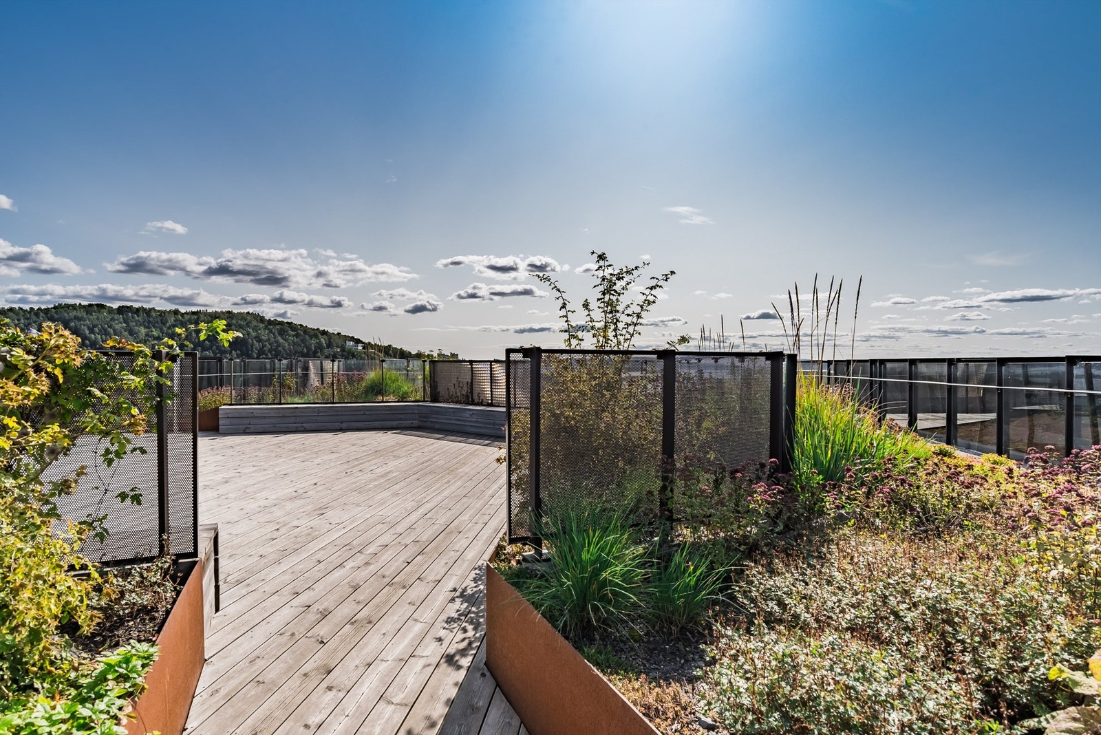 Takterrassen er pent opparbeidet med beplantning og benker. Galleribilde