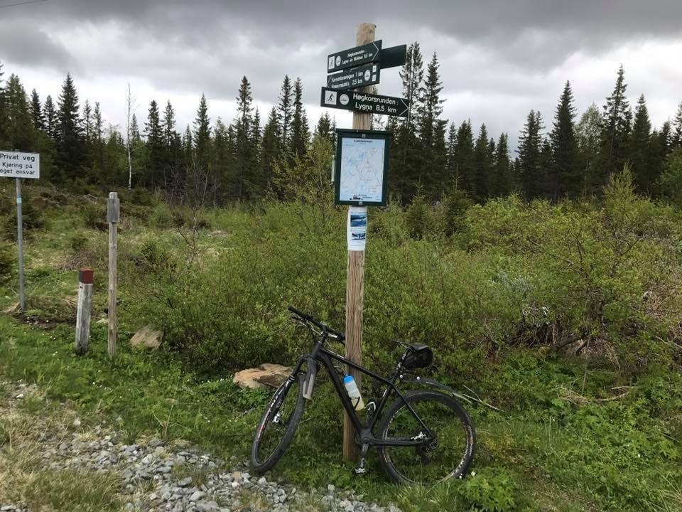 Mange tur og sykkelstier sommerstid Galleribilde