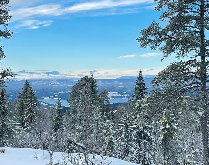 Nydelig utsikt fra felt D Galleribilde