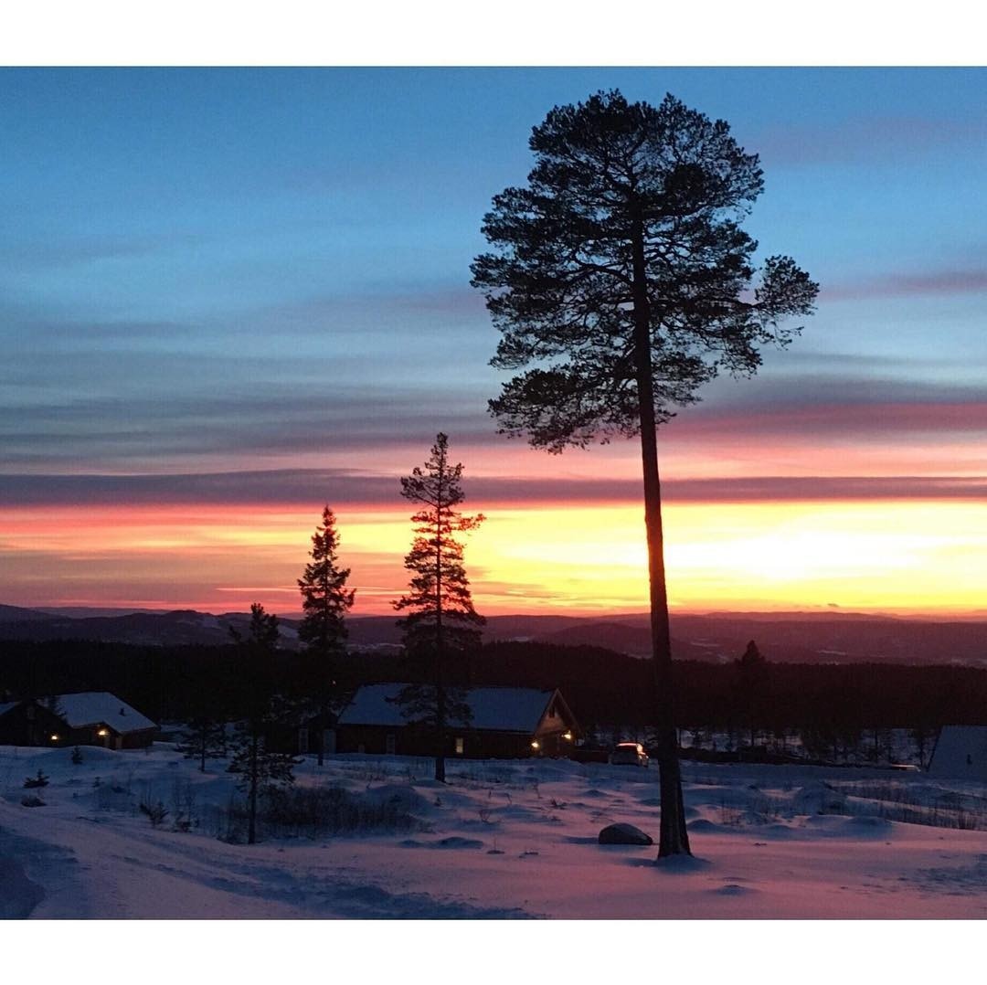 Kveldsstemning Galleribilde