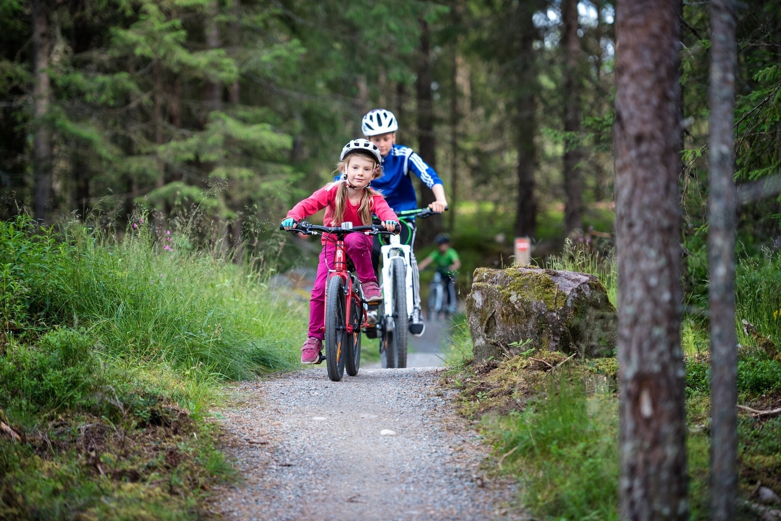 En rekke skogsbilveier innbyr til sykling. Galleribilde