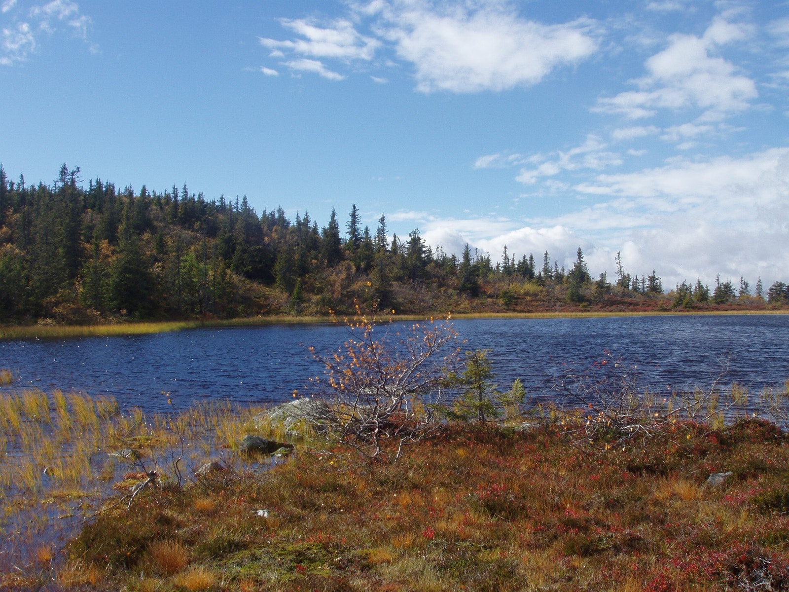 Pålstjernet på Engulvsfjellet er et fint turmål. Galleribilde