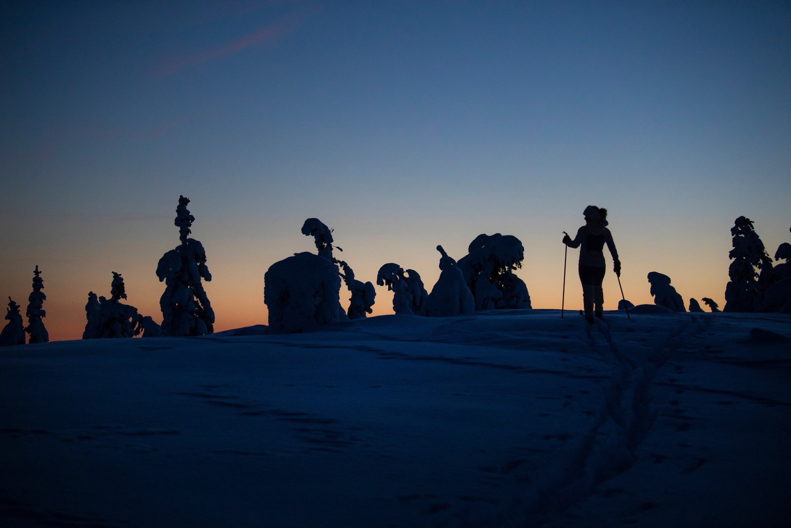 Utrolig hva som dukker opp en kveldstime i Birkenåsen. Galleribilde