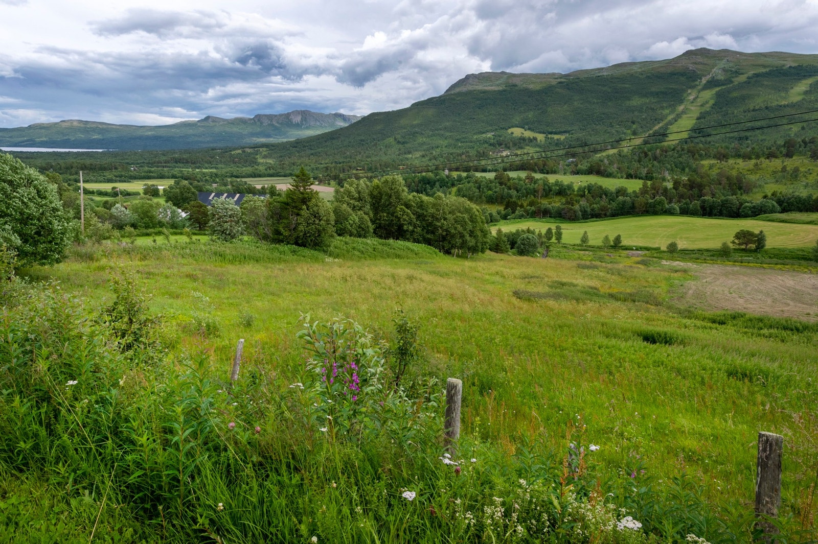 Eiendommen har adkomst fra offentlig veg. Galleribilde