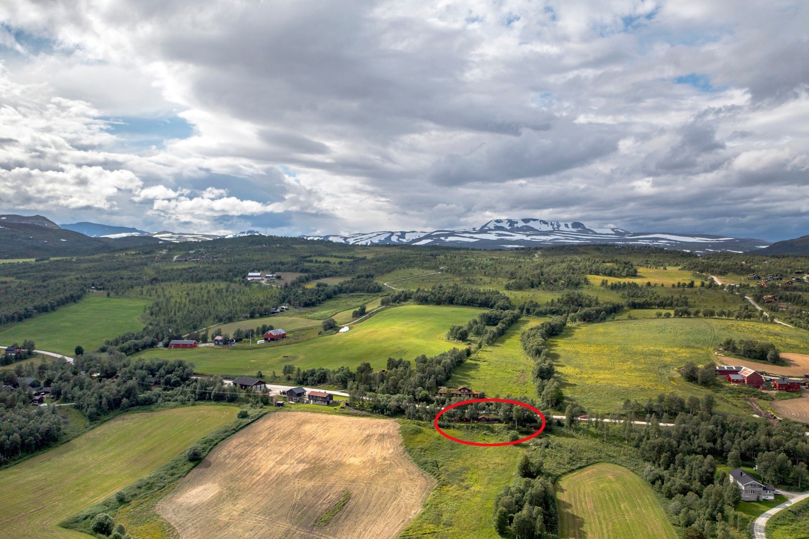 Velkommen til en hyggelig visning! Galleribilde