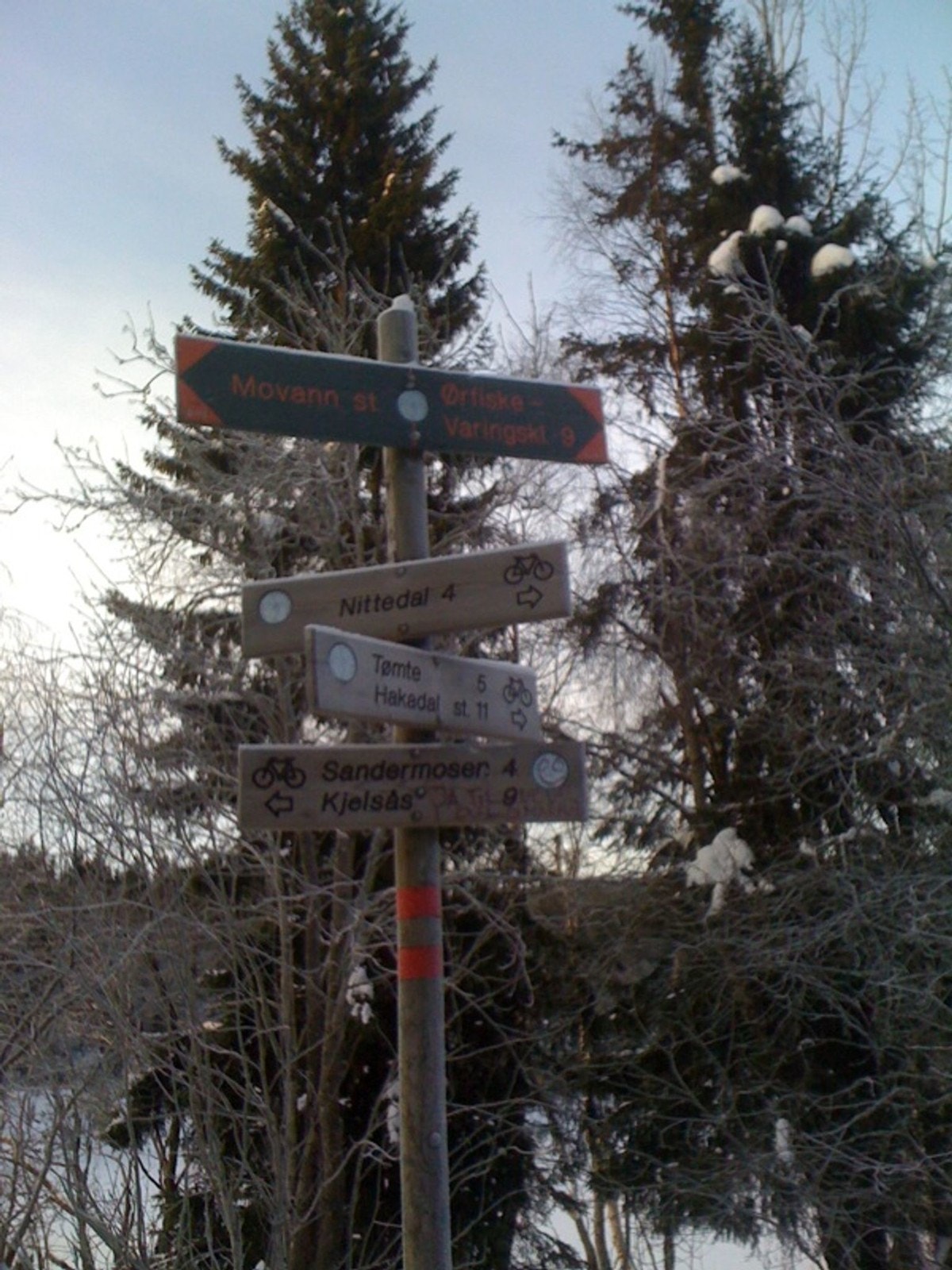 Er du turglad er dette et kanonbra område for deg. Tur, ski og sykkelstier rett rundt hjørnet. Galleribilde