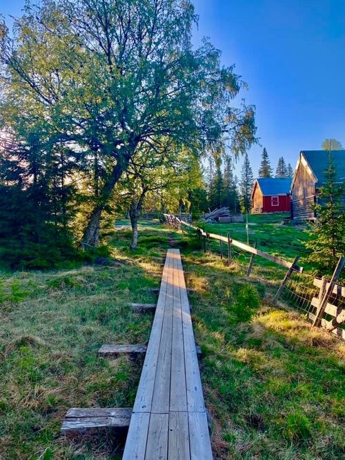 I sommerhalvåret er det også fint på Lygna. Galleribilde
