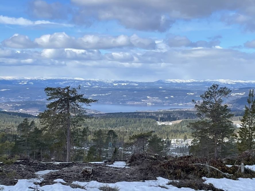 Utsikt fra felt D - Sprangåsen Galleribilde