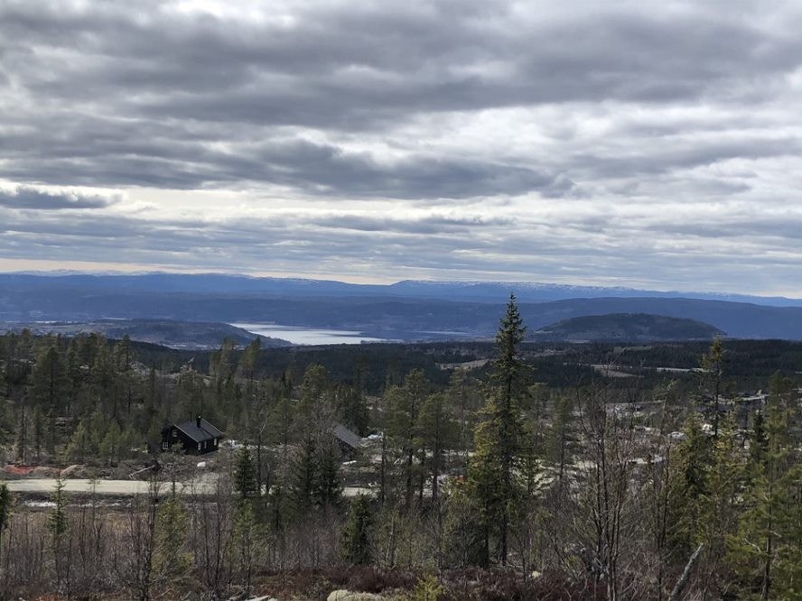 Utsikt fra felt D - Sprangåsen Galleribilde