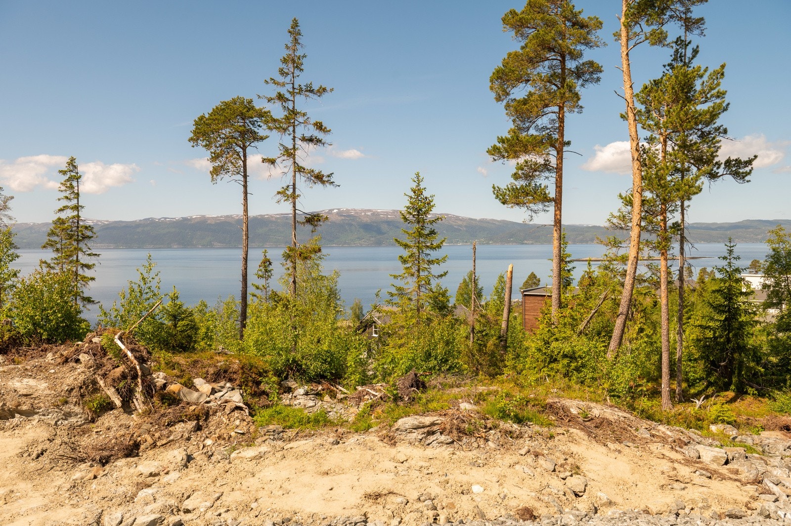 Svaberget 3 Galleribilde