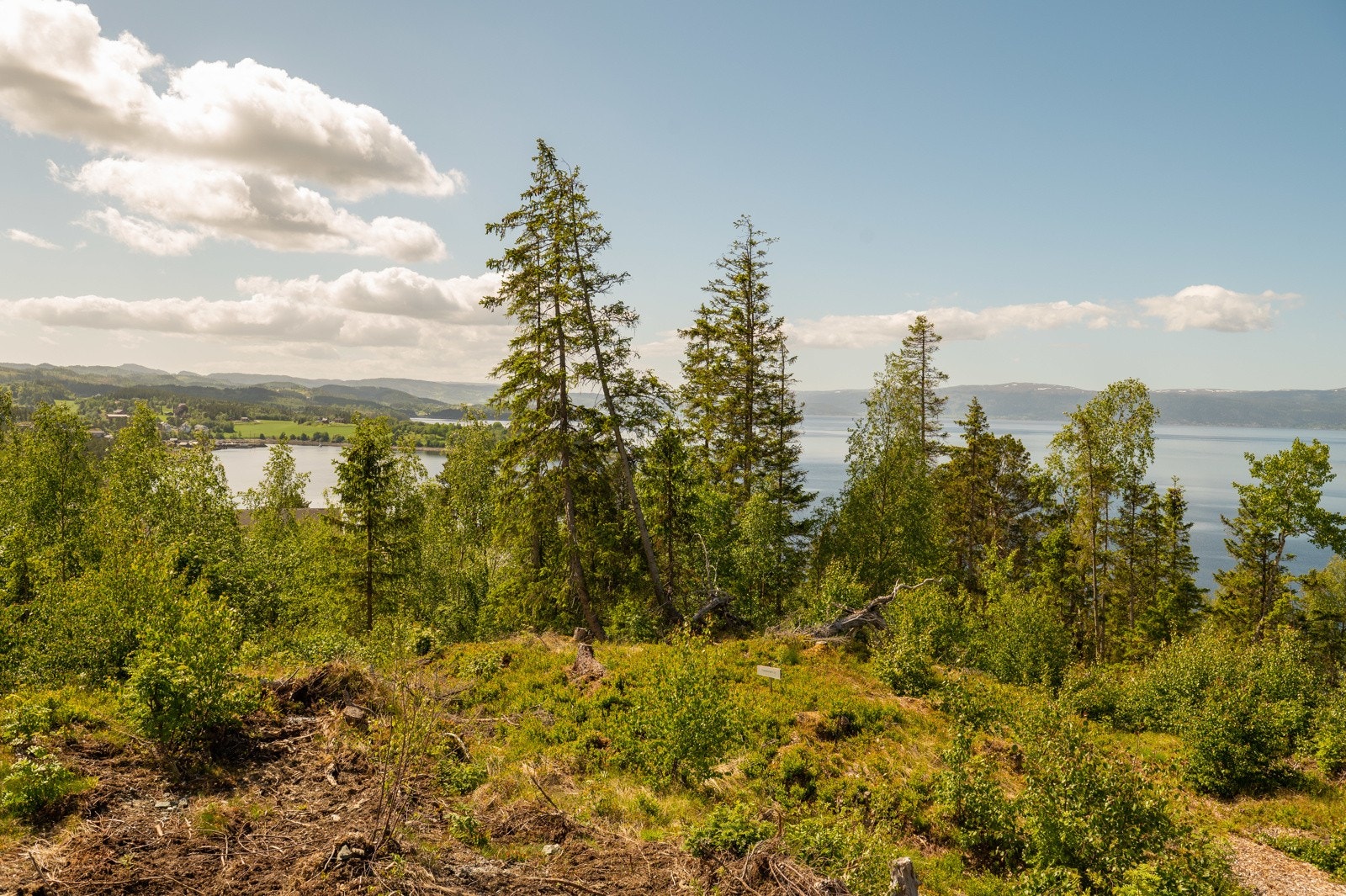 Toppberget 11 Galleribilde