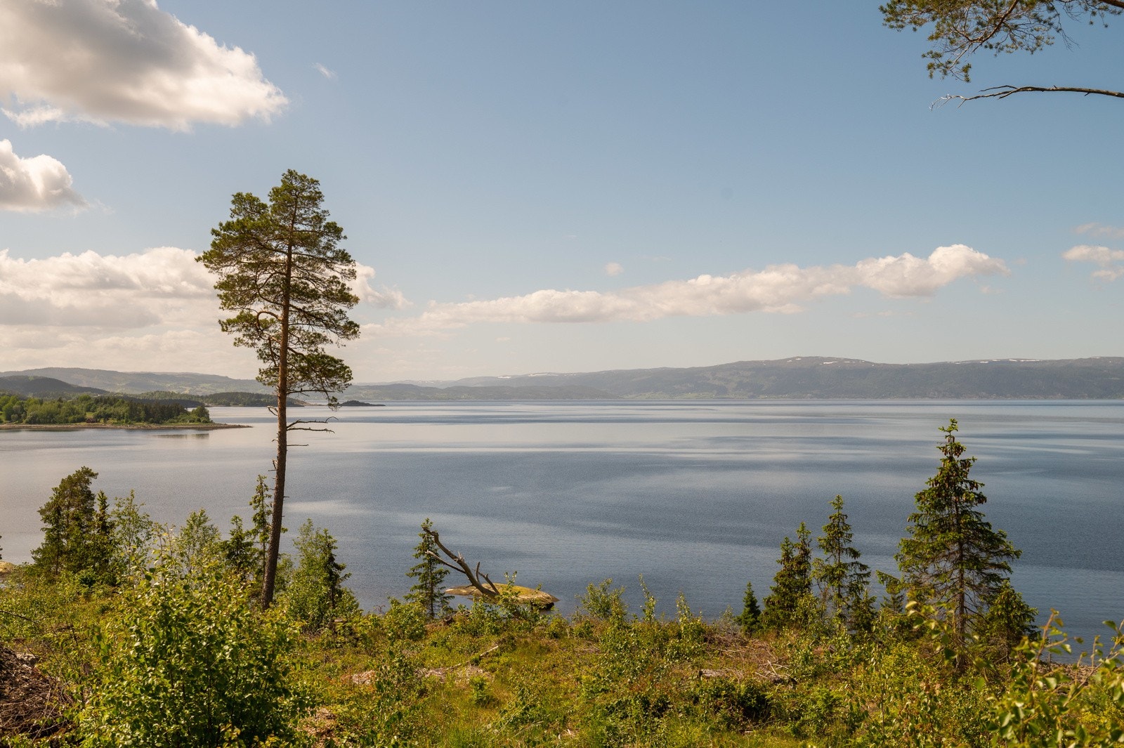 Svaberget 9 Galleribilde