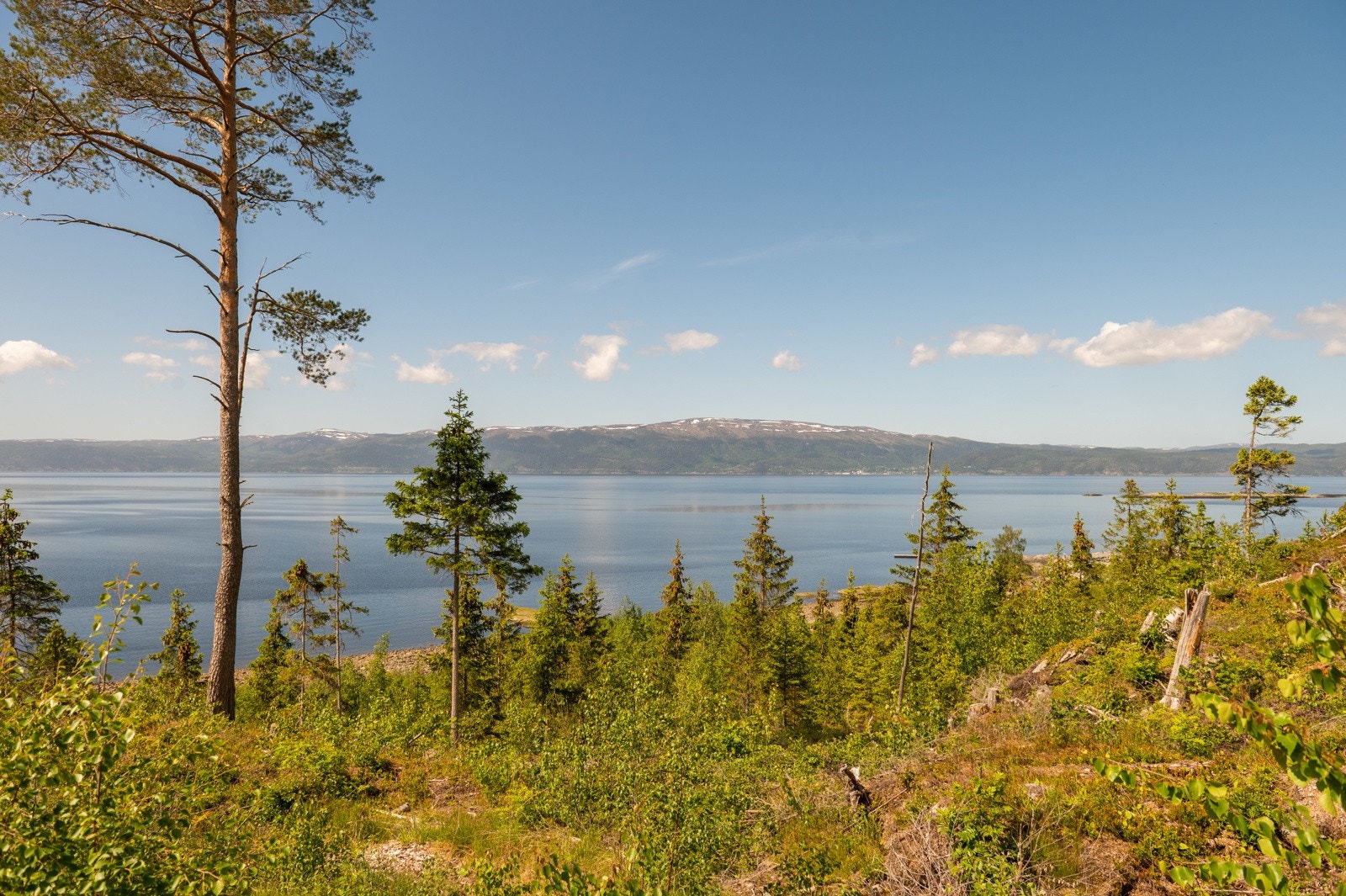 Svaberget 9 Galleribilde