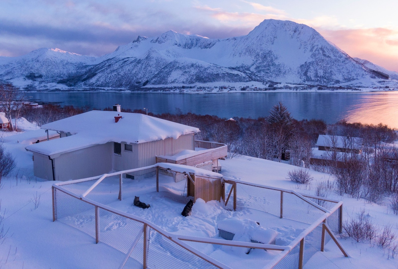 Hundegård etablert på eiendommen. Privat bilde Galleribilde