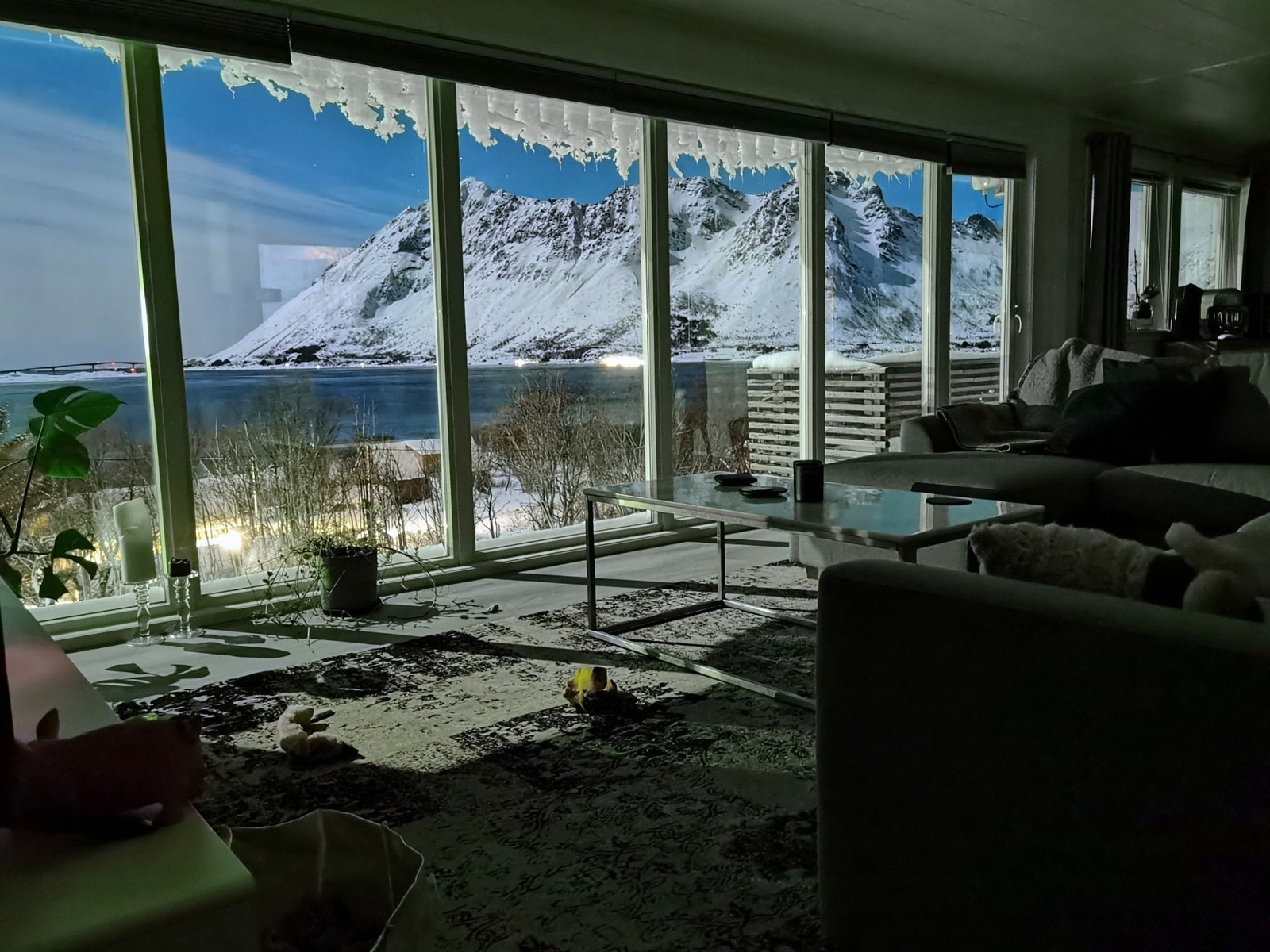 Privat bilde Galleribilde