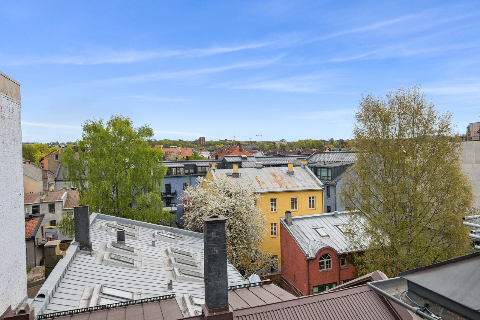 Utsikt fra terrassen. Galleribilde