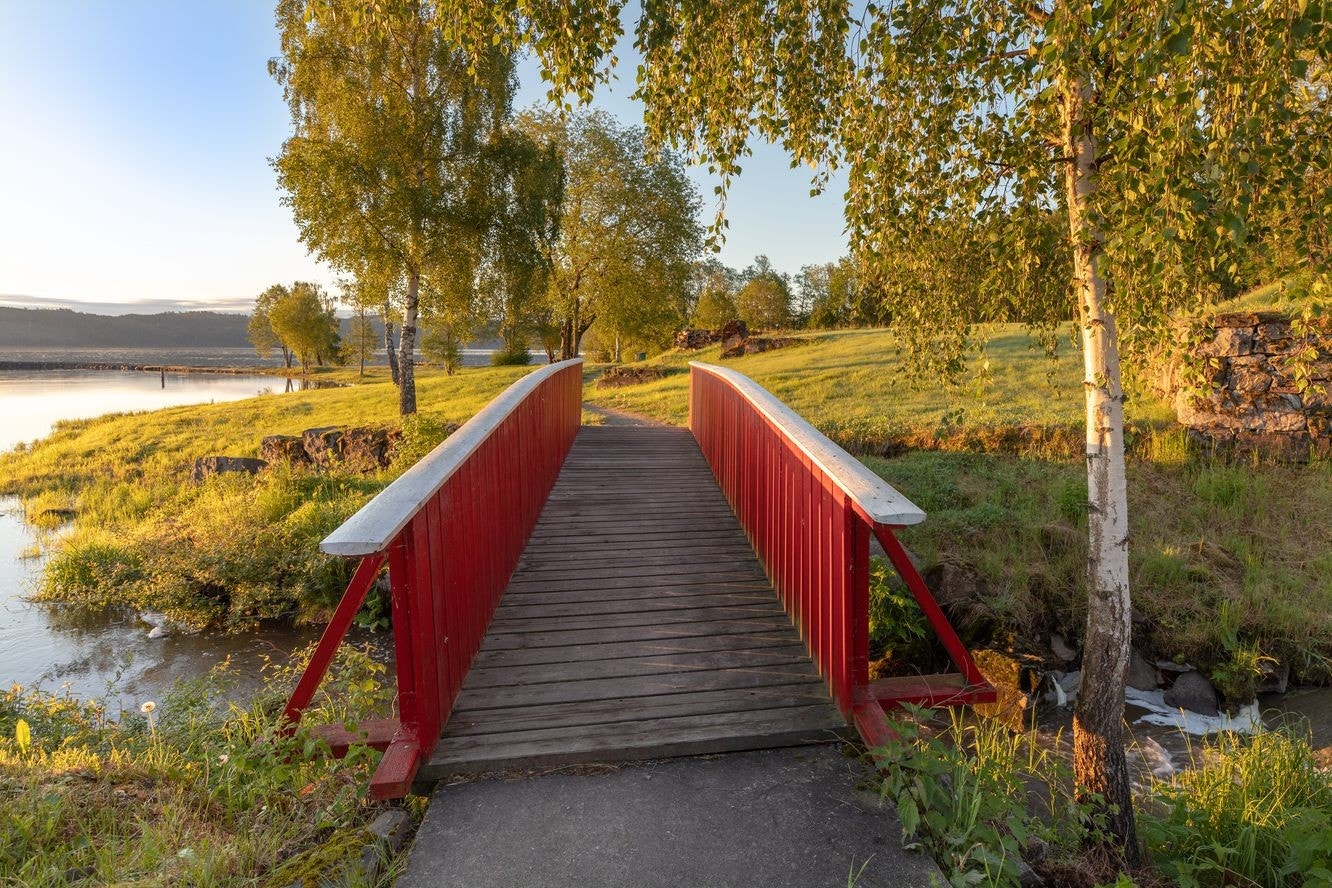 Fine turmuligheter både i Østmarka og langs Øyeren. Galleribilde