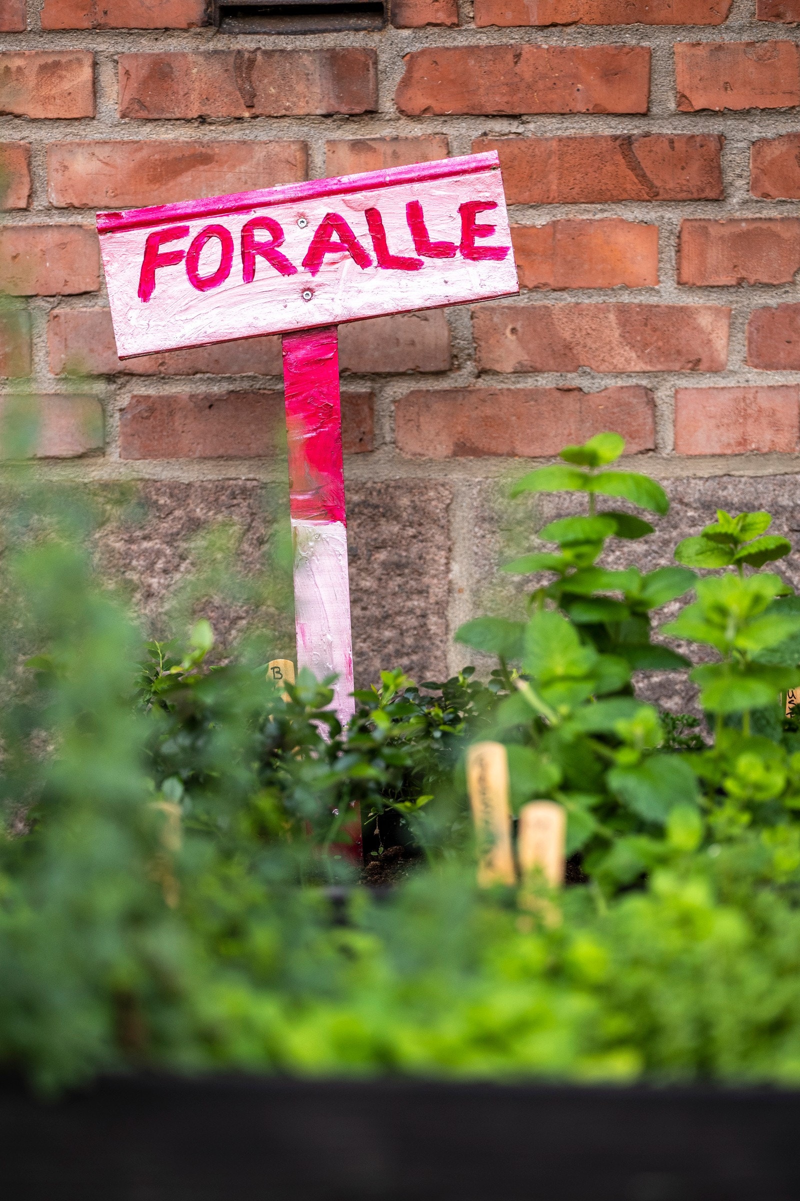 Uteområde. Galleribilde