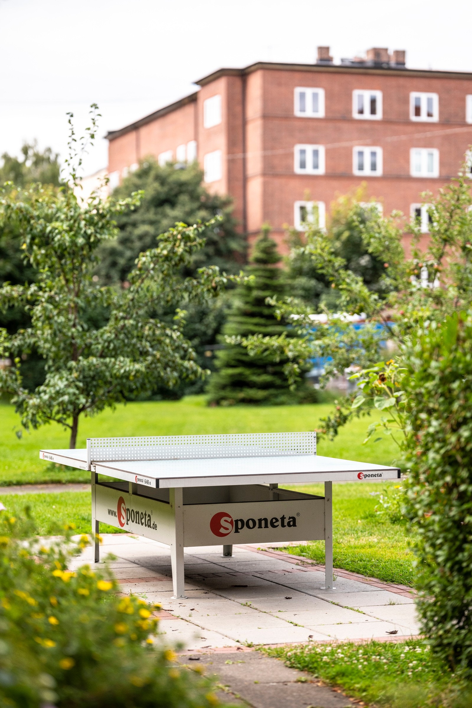 Det er også bordtennisbord i bakgården. Galleribilde