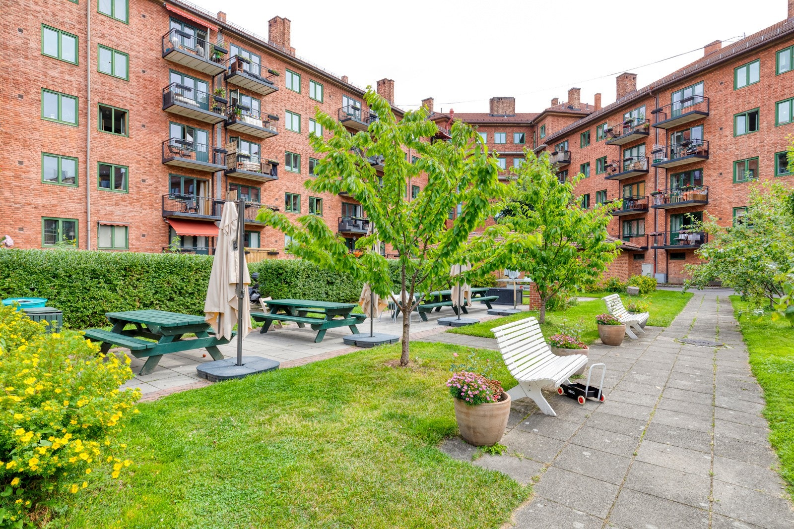 Fellesarealer med gangveier, gressplen og annen fin beplantning. Galleribilde