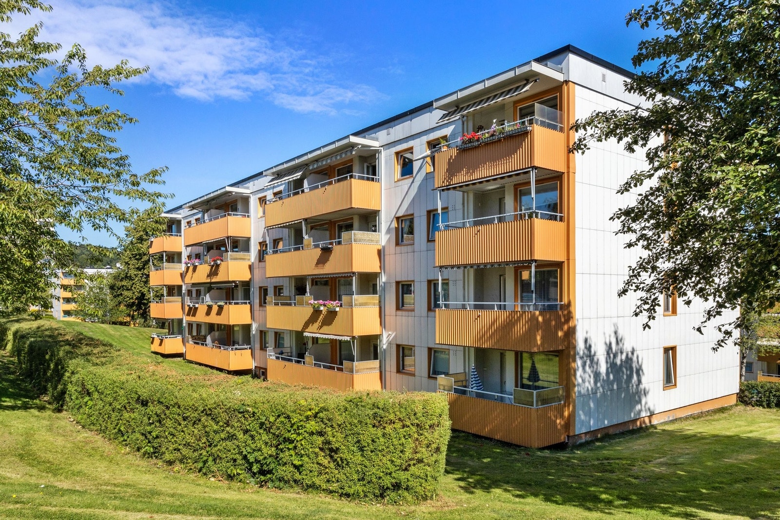 Frodige og grønne omgivelser Galleribilde