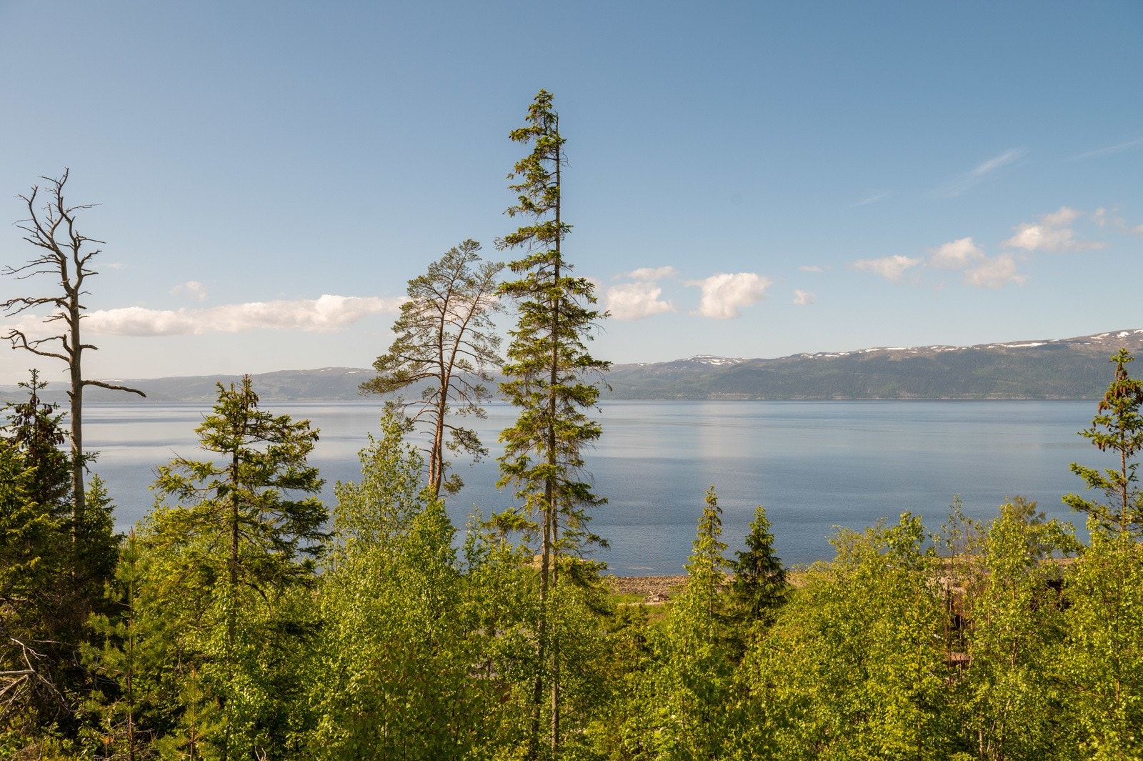 Svaberget3_03 Galleribilde