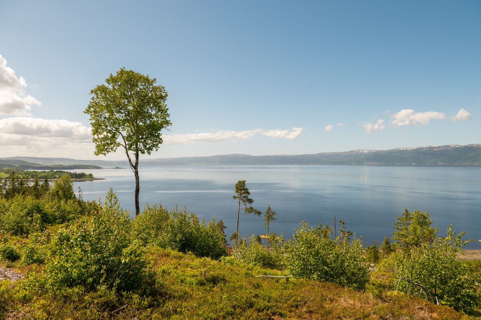 Toppberget7_03 Galleribilde