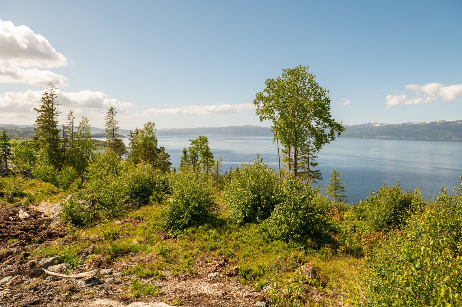 Toppberget9_02 Galleribilde