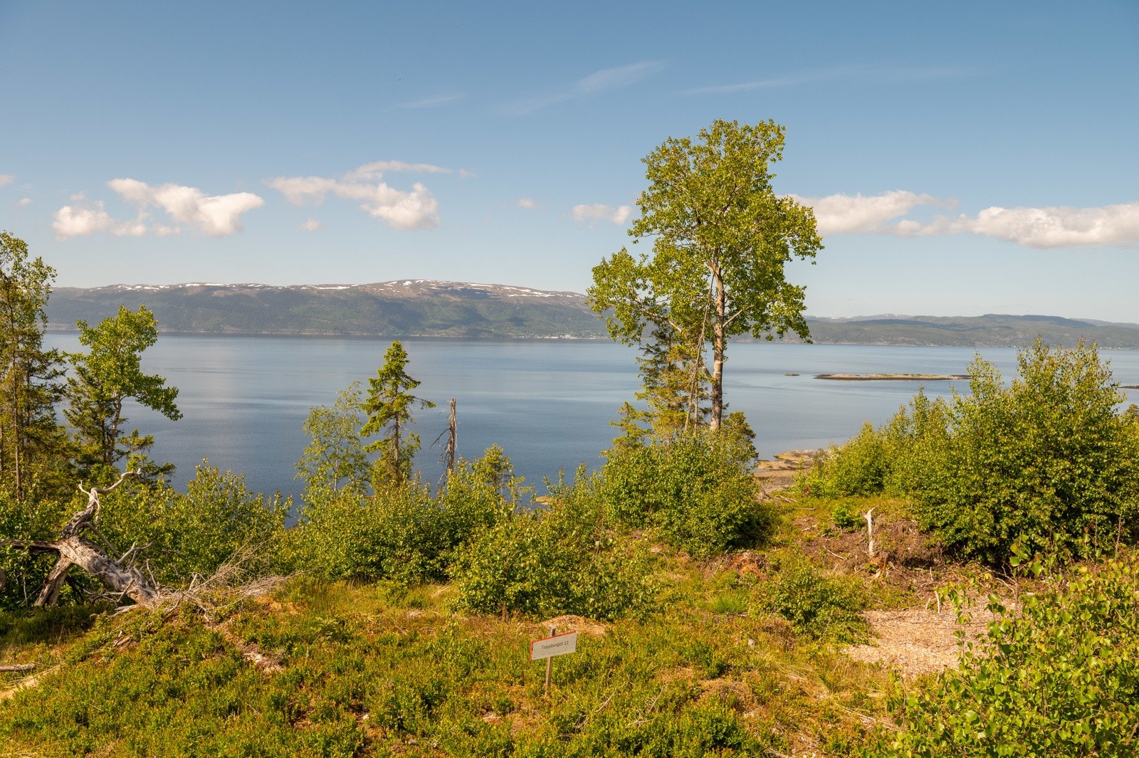 Toppberget11_02 Galleribilde