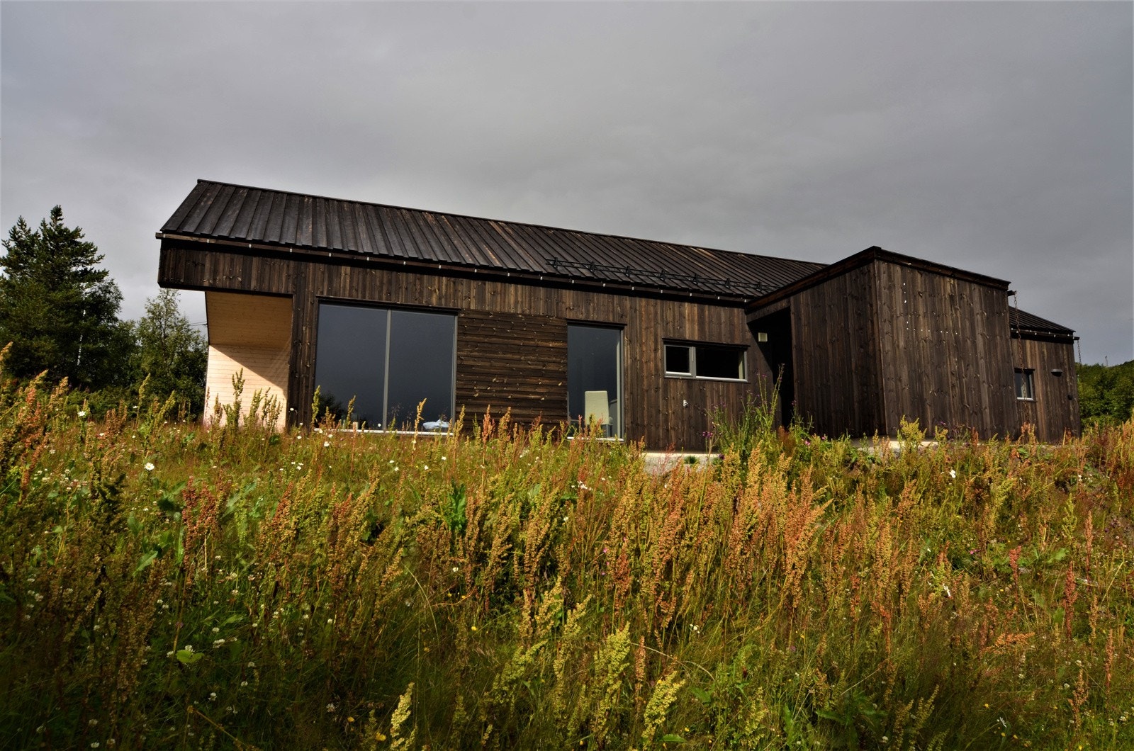 DSC_0023 Galleribilde