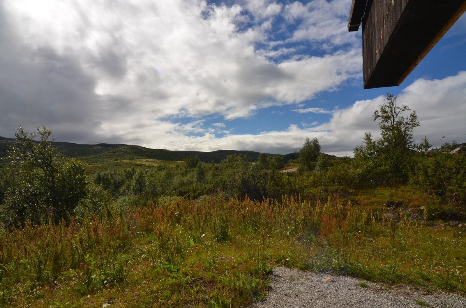 DSC_0026 Galleribilde