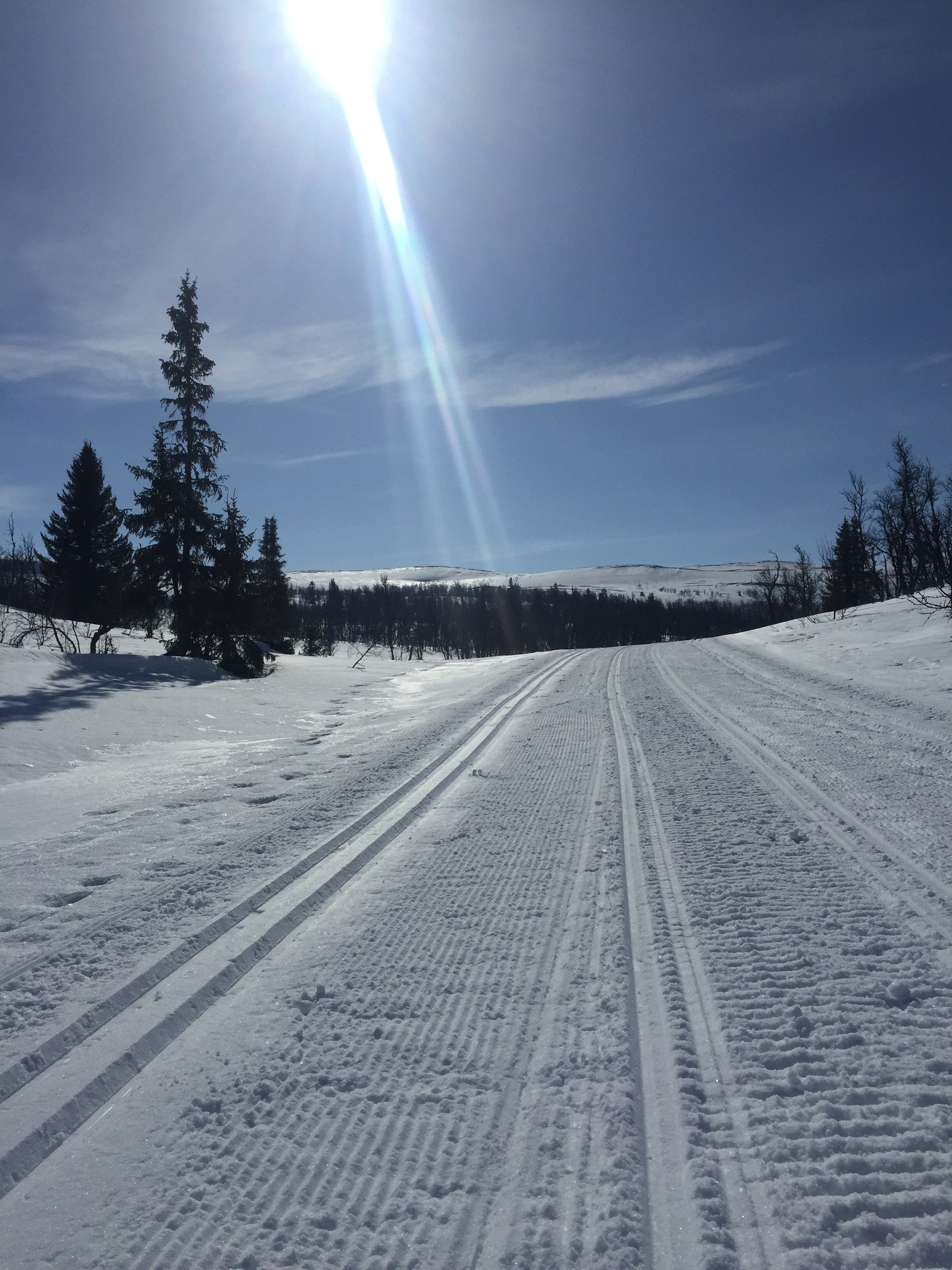 Milevis med skiløyper rett utenfor døra Galleribilde
