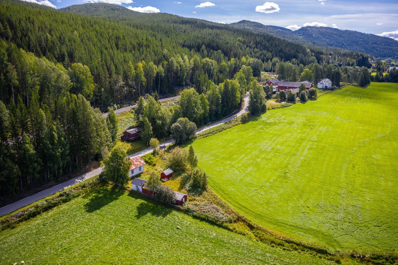Umiddelbar nærhet til skogen og turterreng. Galleribilde