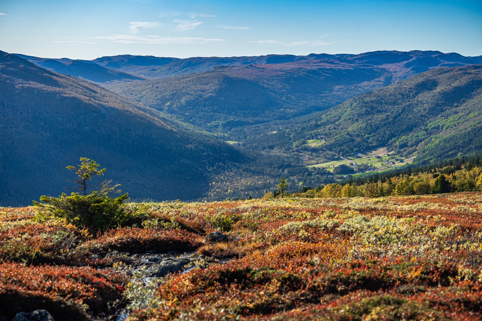 Utsikt mot Jønndalen og Tøddel fra Fjellsnaret Galleribilde