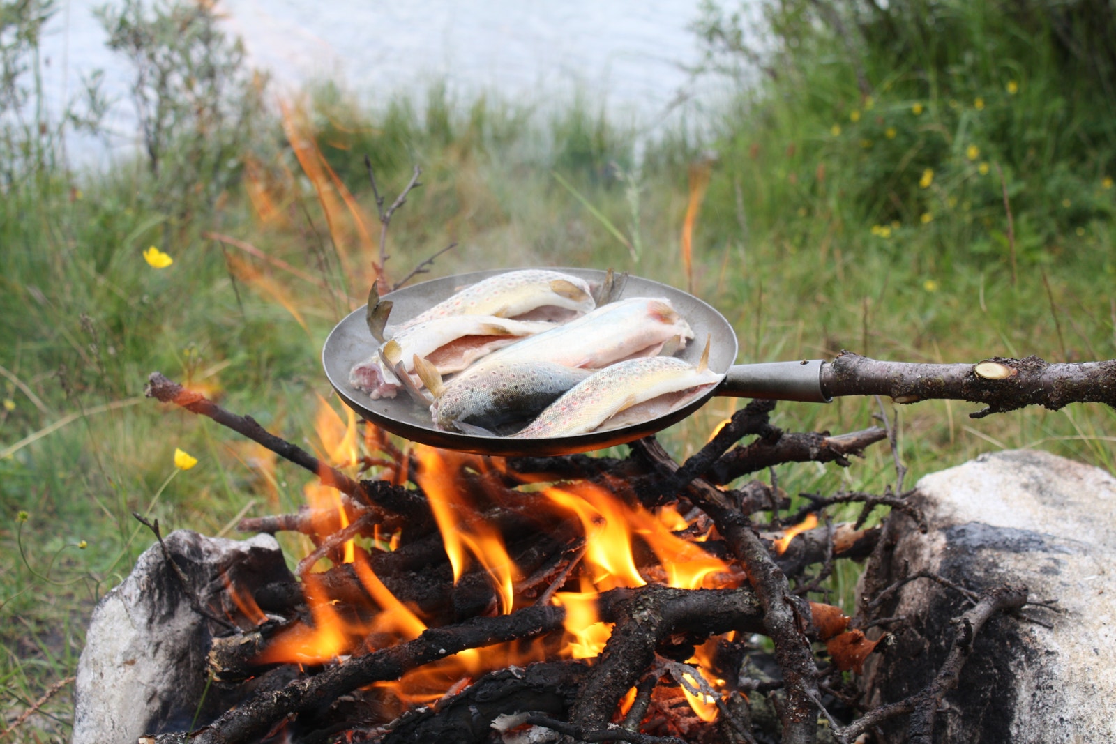 Som nevnt 900 fiskevann. Galleribilde