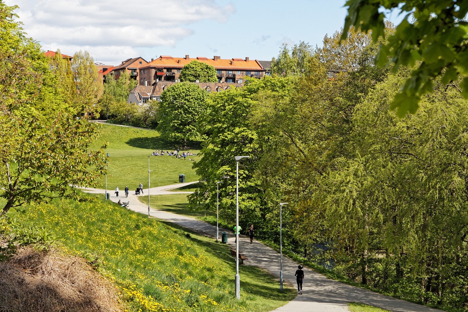 Nærområde - langs Akerselva Galleribilde
