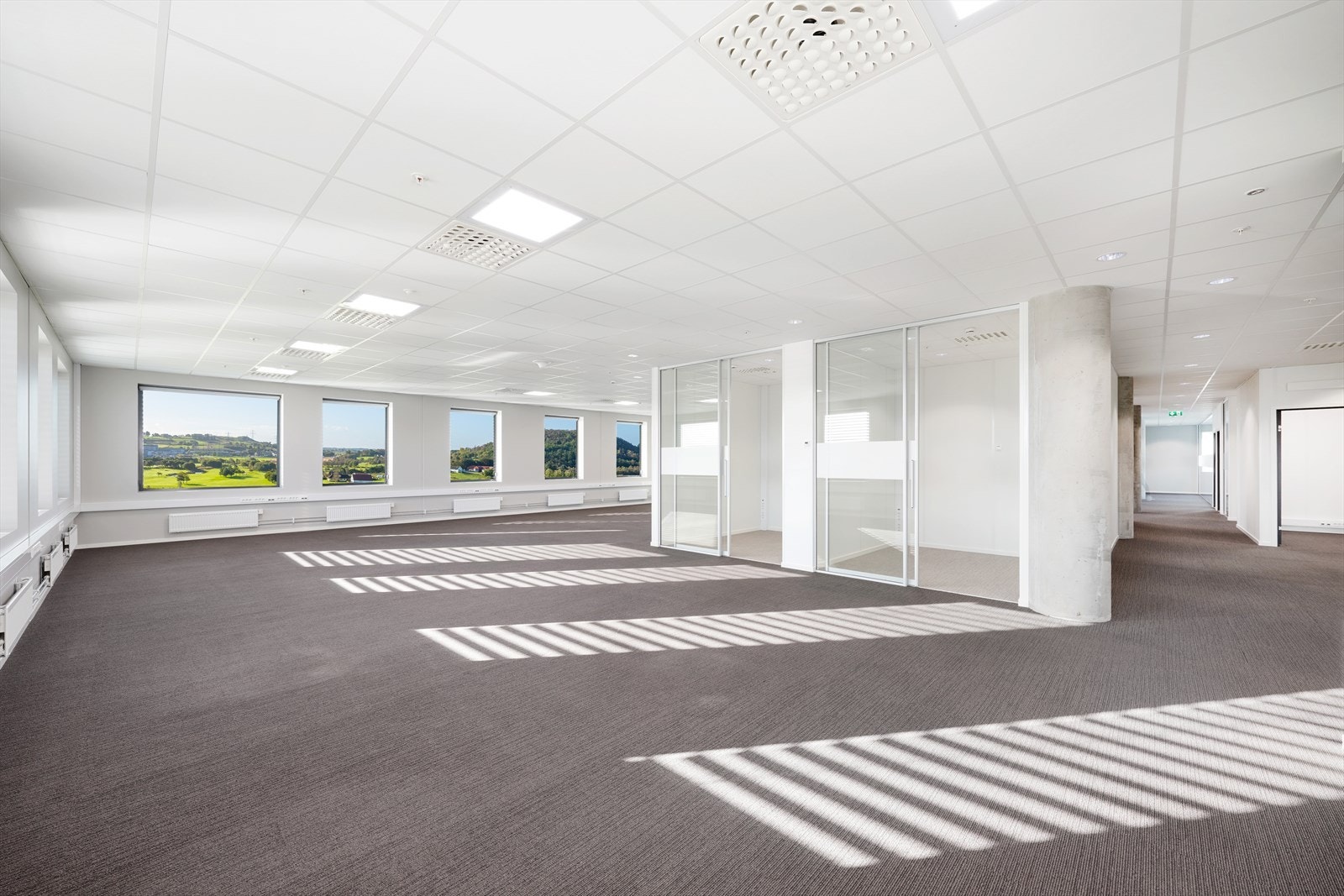 FCL03204 Galleribilde