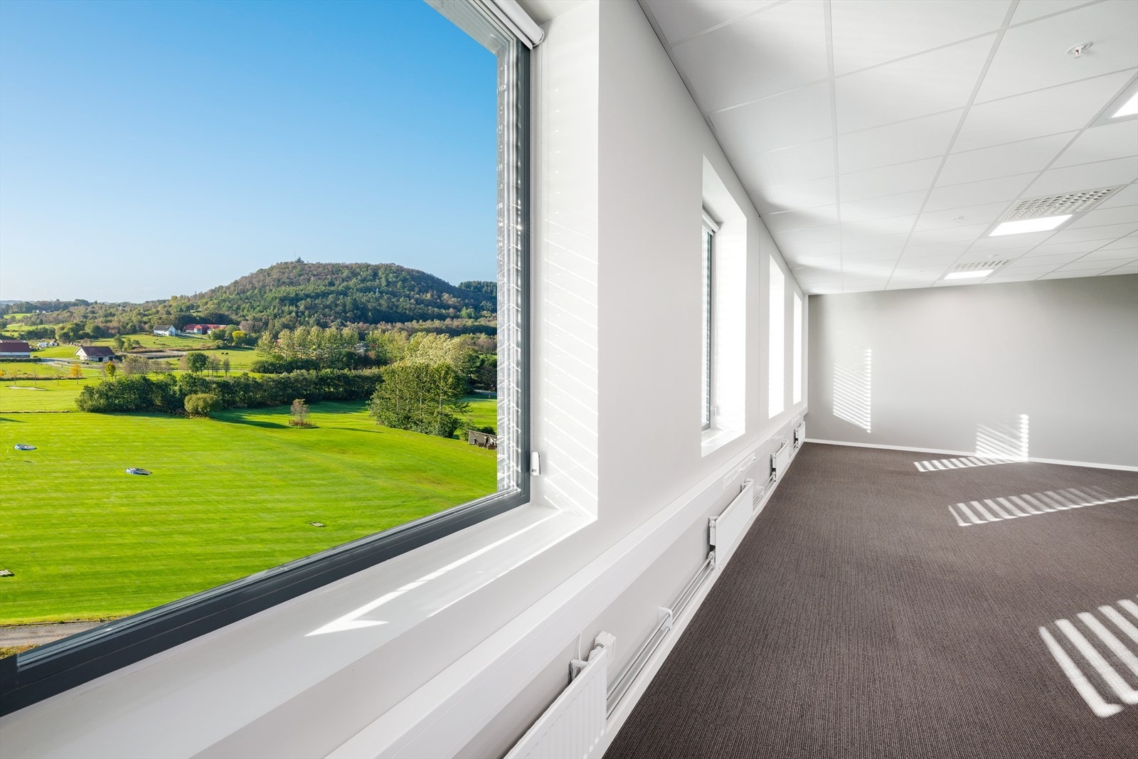 FCL03223 Galleribilde