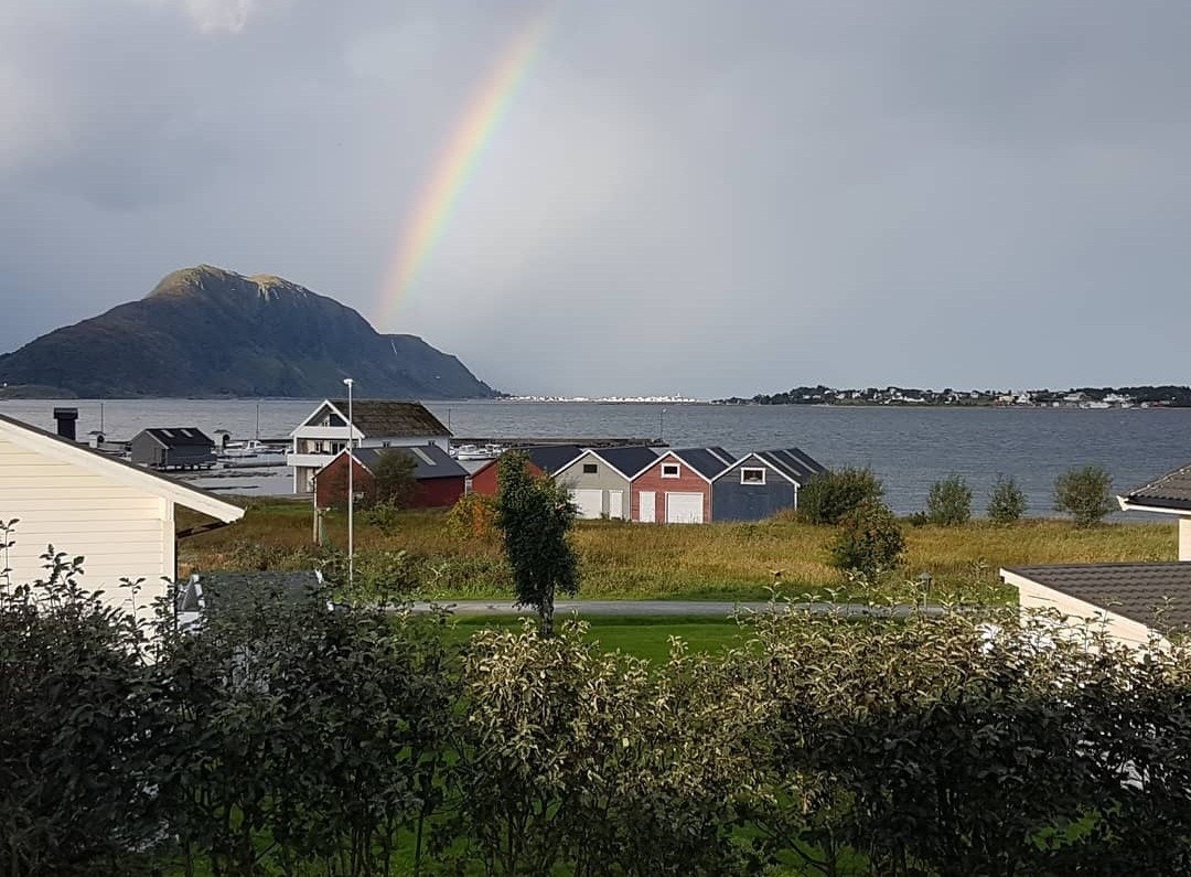 Nærområde Galleribilde