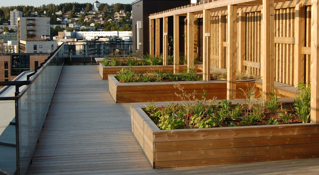 Koselig plantering på takterrassen Galleribilde